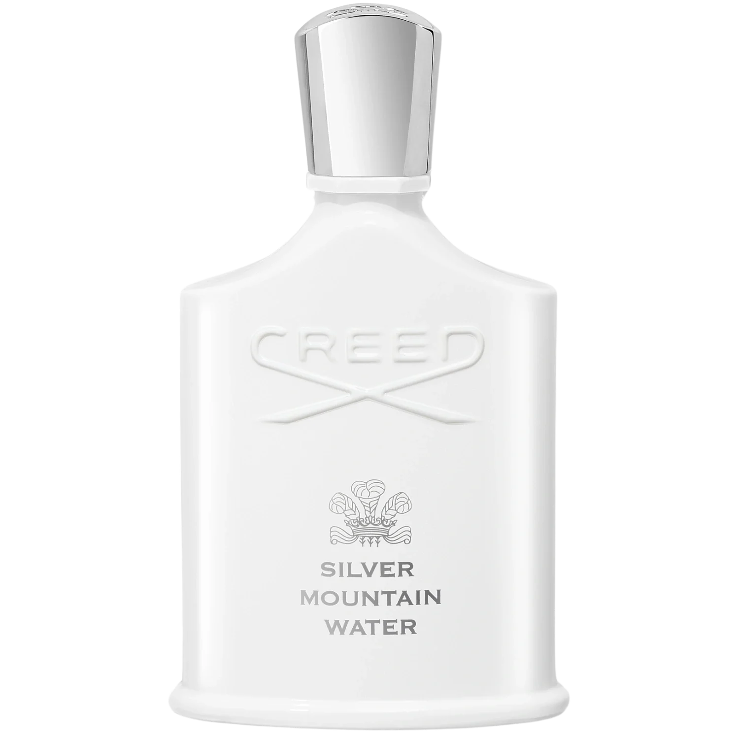 Silver Mountain Water